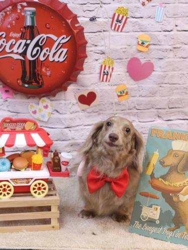 20230908ぺこちゃん